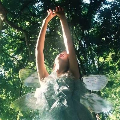 女皇之刃 流浪的战士